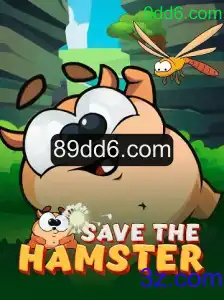 Explorando SavetheHamster